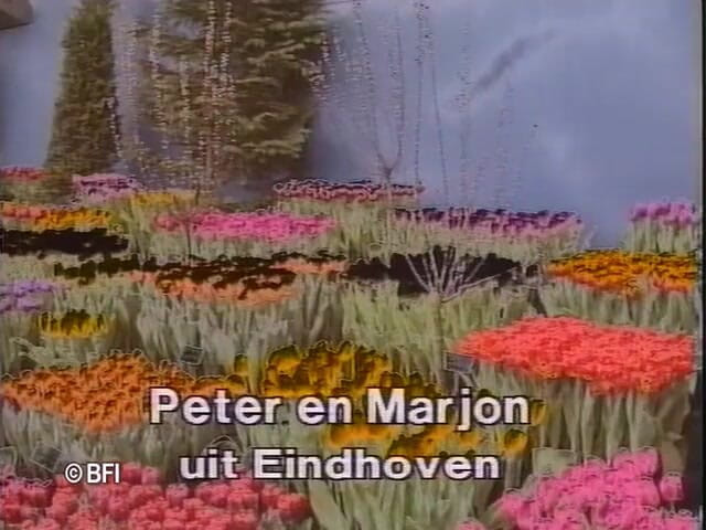 Dutch Desire Nights: Made in Holland 2 DVD