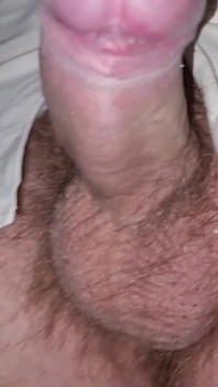 Alexander Audran