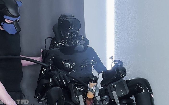 RubberTFD: Laboratorul de extracție gimp