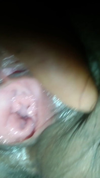 Muschi