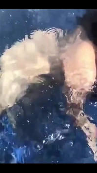 Berenang dan berkongkek nakal di kolam