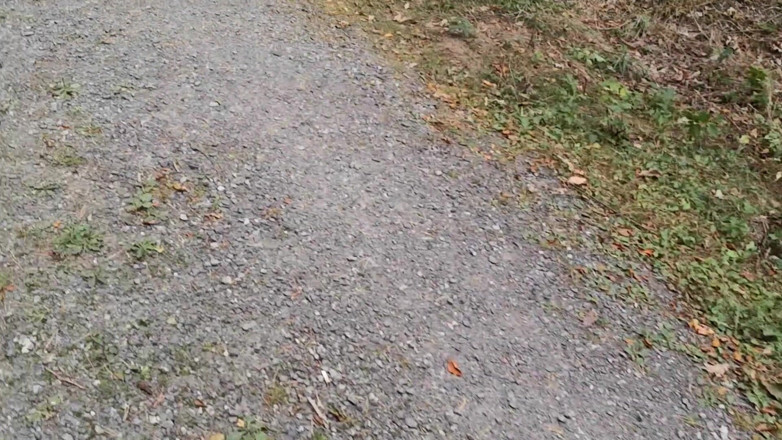 Bouncy Tits Action: Punishment Walk - Stuffing Her Bra and Panties in the Woods