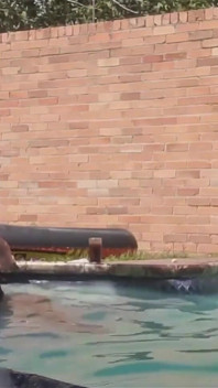 Swimming Pool Fuck