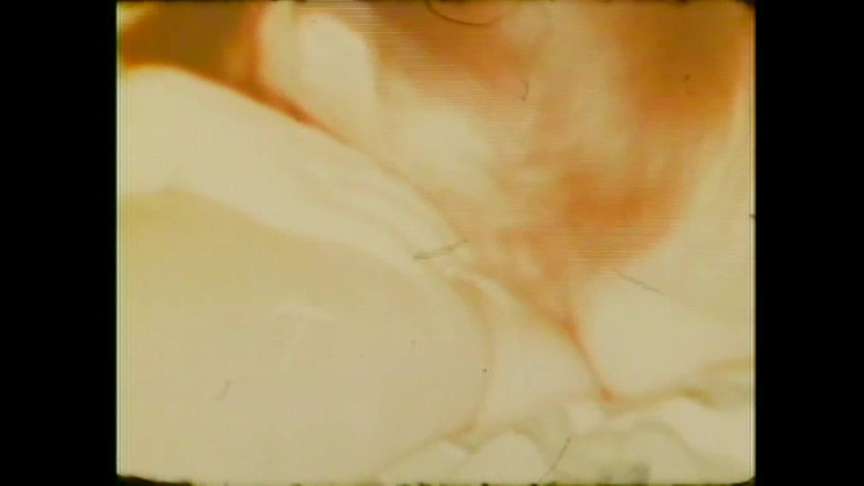 Vintage Megastore Full hd: Candida Royalle Das Schwein Lutscht Schwanz