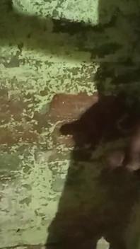 Stepsister Masturbated in the Memory of Bah Bhi