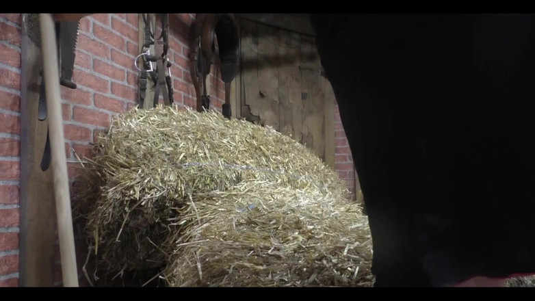 tammara big: 내 보지를 문지르고 사정할 때까지 손가락으로 핑거