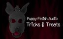 Camp Sissy Boi: Audio verze Puppy Fetish