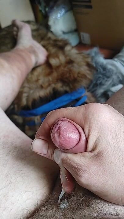 BigManShaman: Tugging the Cock