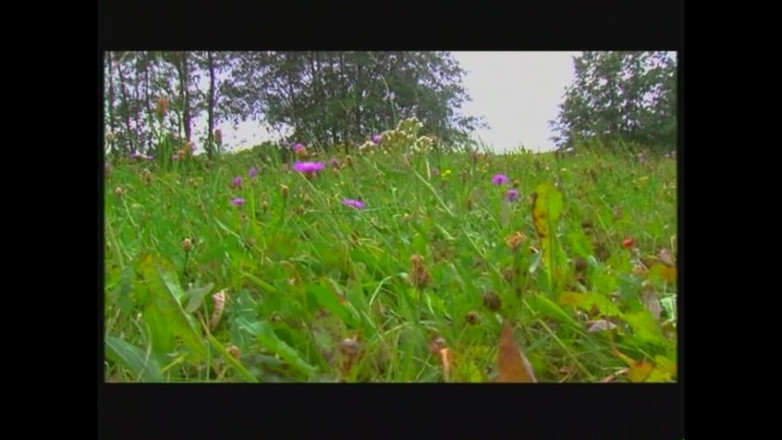 DEUTSCHLAN PORNO XXX: Erotische märchen - kapitel # 03