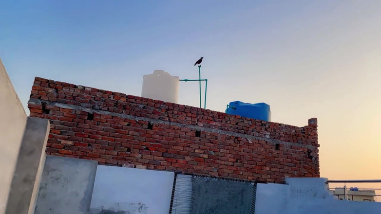 Usman Butt: Melancap