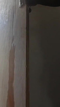 デシの家政婦が自慰行為を目撃された パート4