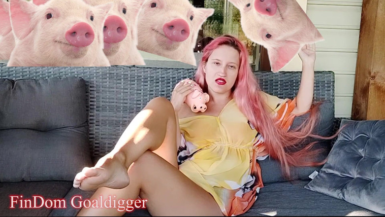 FinDom Goaldigger: Cash slave application form review