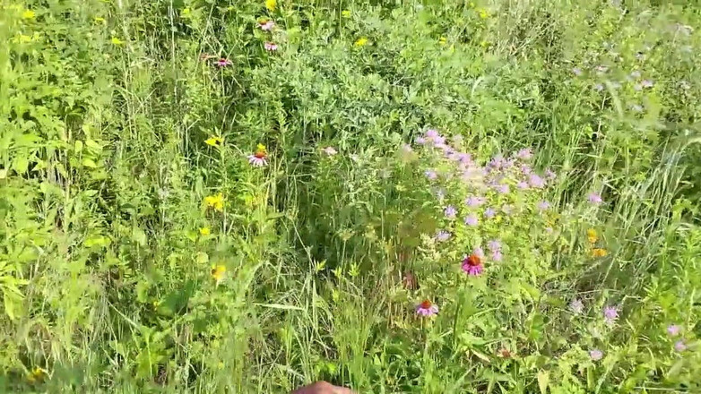 Kennie Jai: Kennie Jai Cammina nel parco accanto al fiume Sborrapletely nudo!