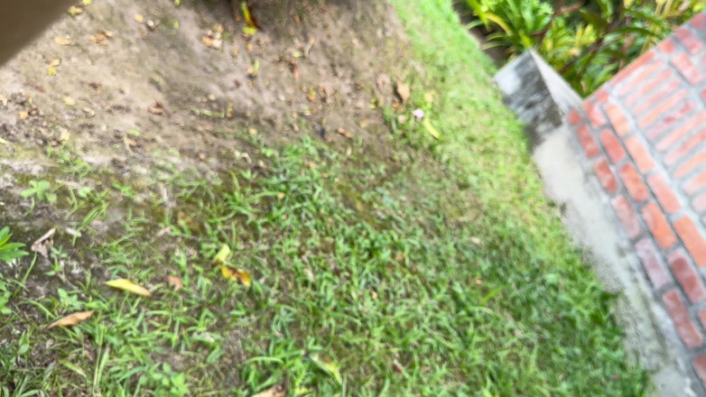 Crisanto999: Nečekala jsem, že moje nevlastní bratra to udělá