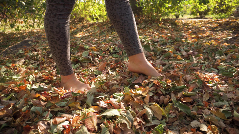 Teasecombo 4K: Leaves Crunching Underfoot Asmr