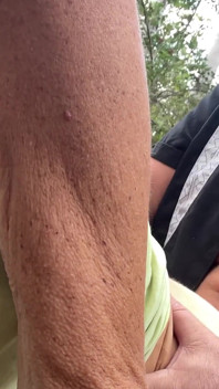 Horny in the Woods. What Do You Think Happens?