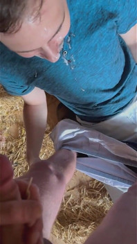 Mike besucht den hetero verheirateten bauern und er fickt sein gesicht in der scheune, bis er auf sein gesicht kommt -5. besuch-
