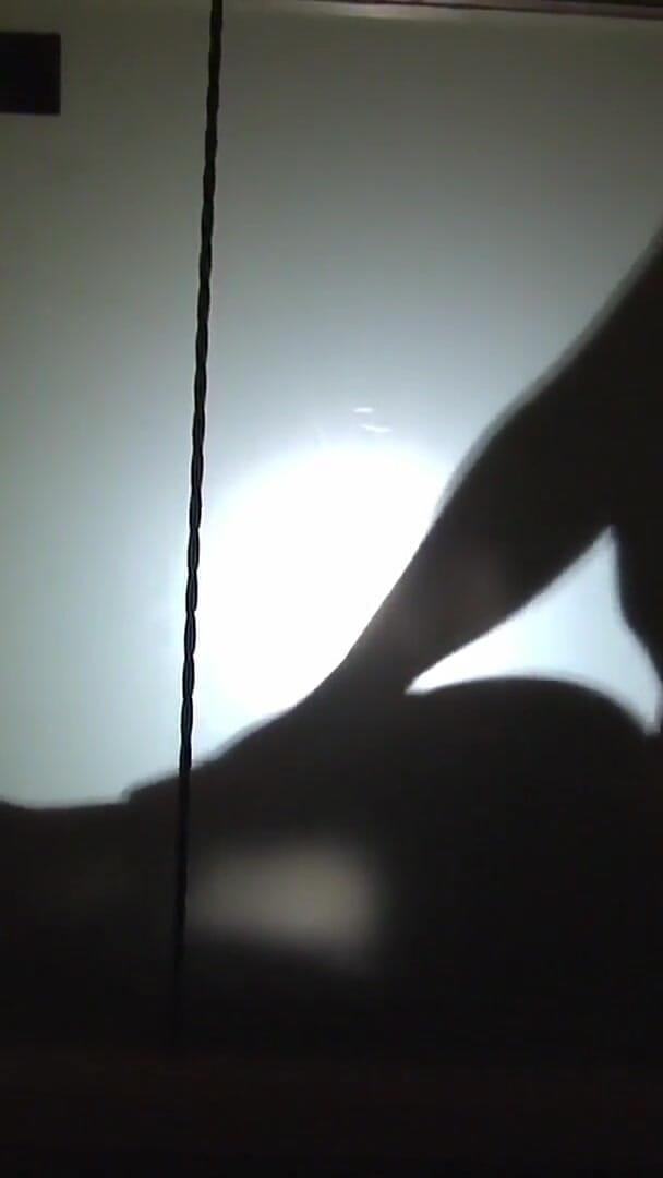 Silhouette Fun by Luci Clare and Mr Mobydick (Mr MobyDick)