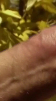 Oltre i buchi scena-2_friends dal lavoro finisce per fare sesso nella casa di campagna