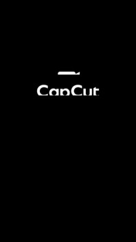 Are You Into Curvy