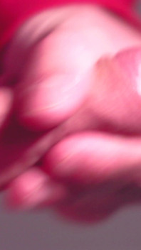 Primer plano - Twink hace que su gran polla se eyacule