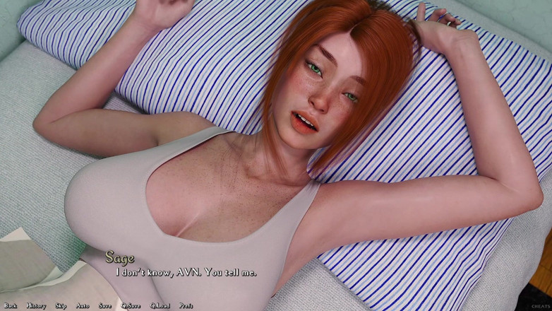 AVN Teller: Ser un dik 25