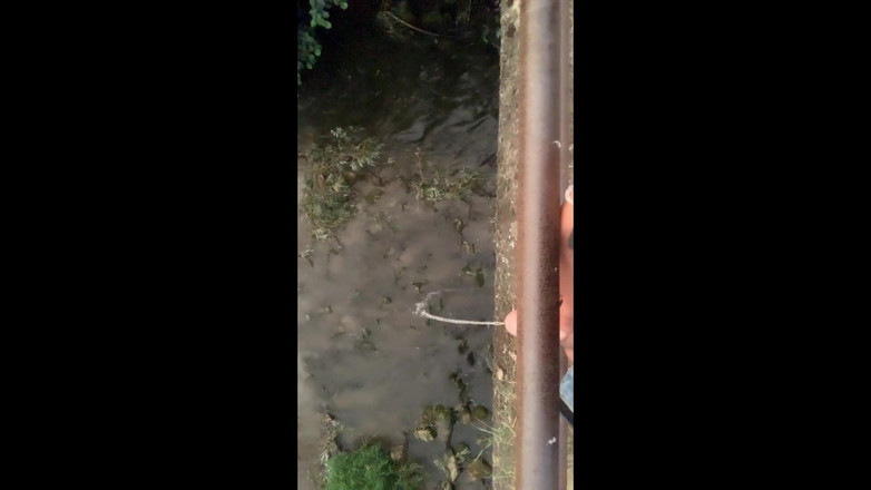 Idmir Sugary: 다리에서 강으로 가는 트윈크 오줌