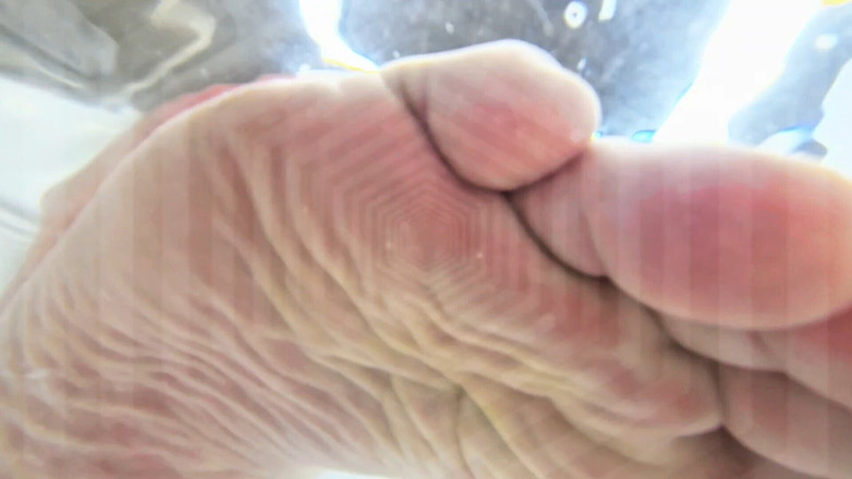 CashmasterAngel: Pig Training