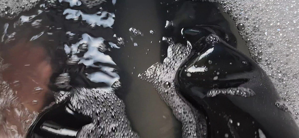 Dreamofevolution: Violetele sunt albastre, trandafirii sunt roșii și cizmele Vânătorului sunt negrese