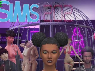 Definitve at night: Une journée avec Nina la nudiste (Sims4 P.M.V)