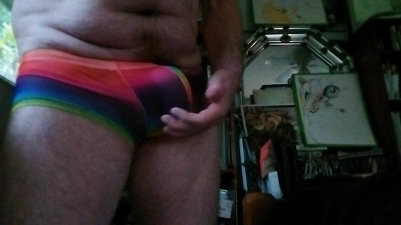 Hairyartist: Pridewear