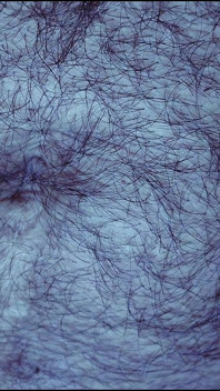 Perut, ketiak dan penis