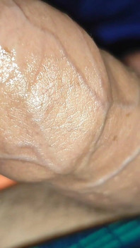 Big Veiny Cock Almost Exploding with Lust.