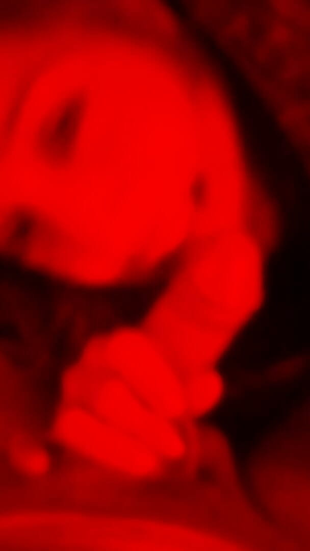 Marian sofar: Yang terbaik di nyepong kontol!!