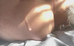 Vovxxx: Батплаг, хвостовой плаг вставка и мастурбирует игрушкой мою тугую дырку