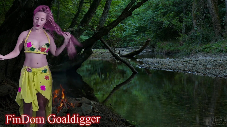 FinDom Goaldigger: Cum control