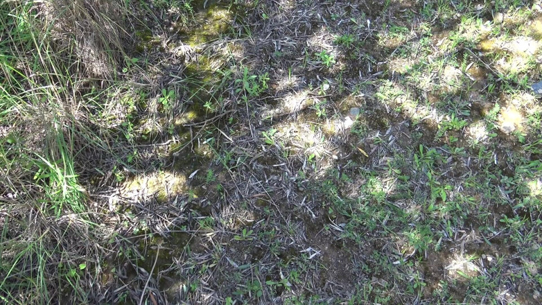 Stepmom Susan: Nahá pozorovatelka na pláži byla šokována, když jsem před ním začala...