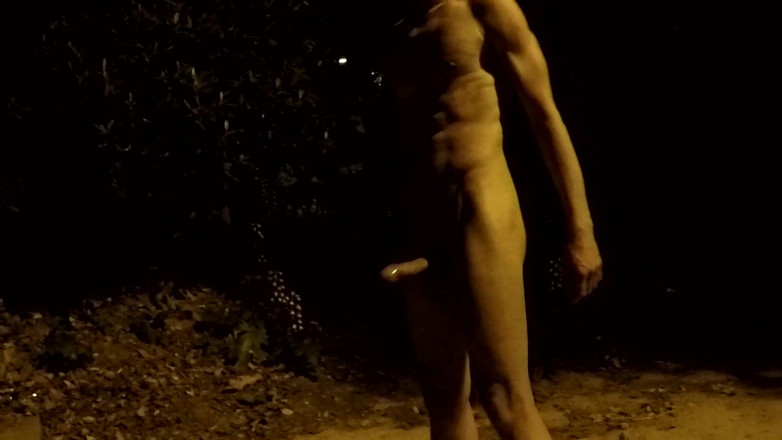 outdoor-fun: 夜の公園でクルーイング - 裸になる2