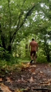 Bogel Walks