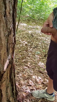 Enojada en el árbol Caminata desnuda en el bosque
