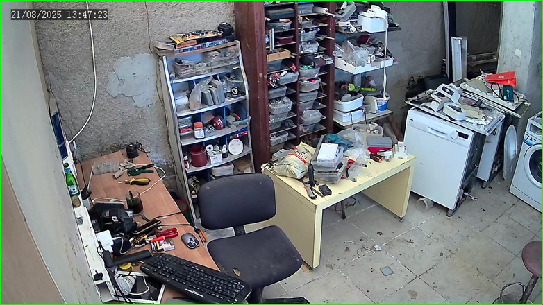 CenkAy: Orso papà catturato dalla telecamera di sicurezza