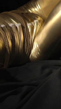Zeus Goldy Bondage Challenge