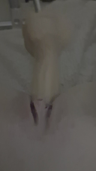 Simone Koelmann: 你好，这是一件很酷的事情