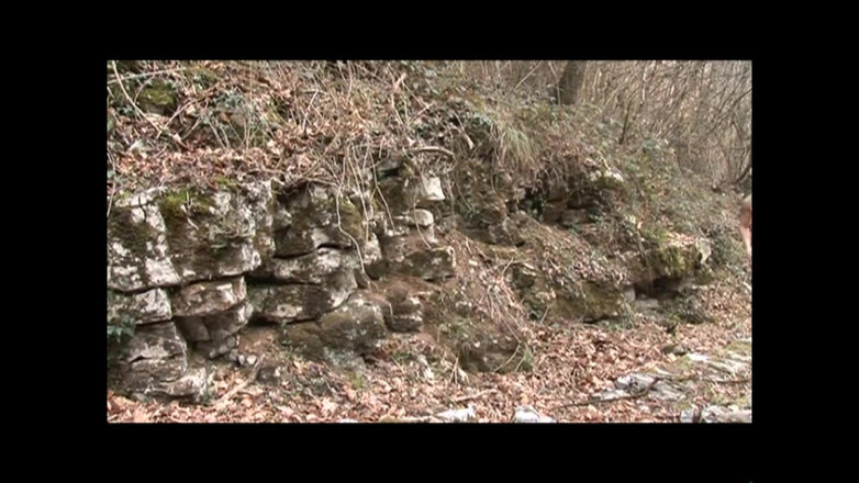 FM Video VOD: You Could Be My Stepson