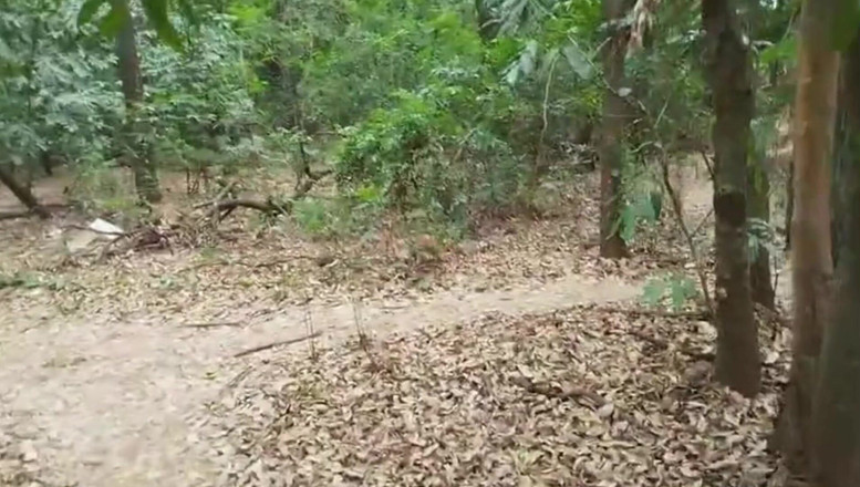 TheBlacKHunterr: Tôi dừng lại ở đầm phá để chụp một và