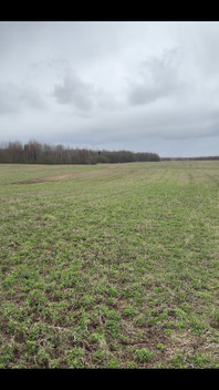 There's Nothing Around, Not a Soul, Just Me