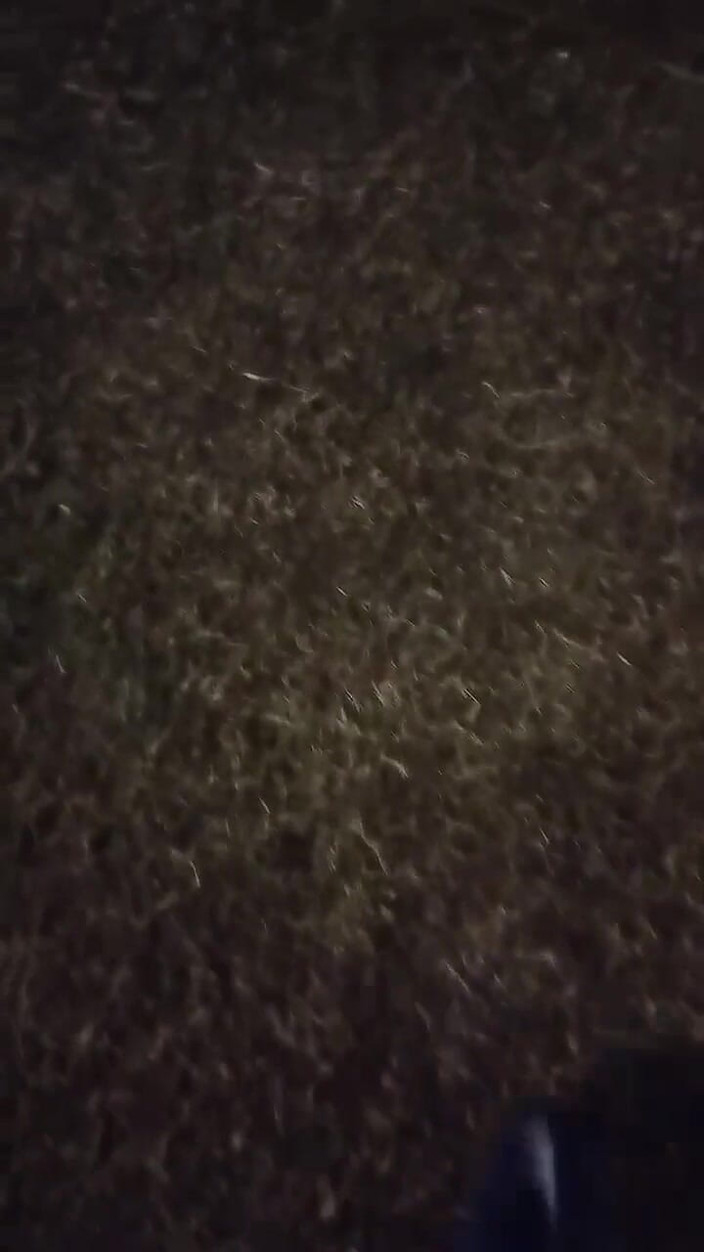 Vida Noite: El sexo al aire libre, de todas las sexuales, ahora...