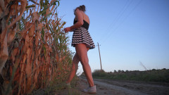 Teasecombo 4K: Mirando a una chica asiática caliente mostrando bragas debajo de...