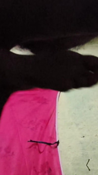 Indian Boy Fucking Sexy Hot Bhabi in Her Room