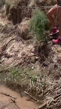 Іскри Ходять Дикими, Граючи В Багнюці